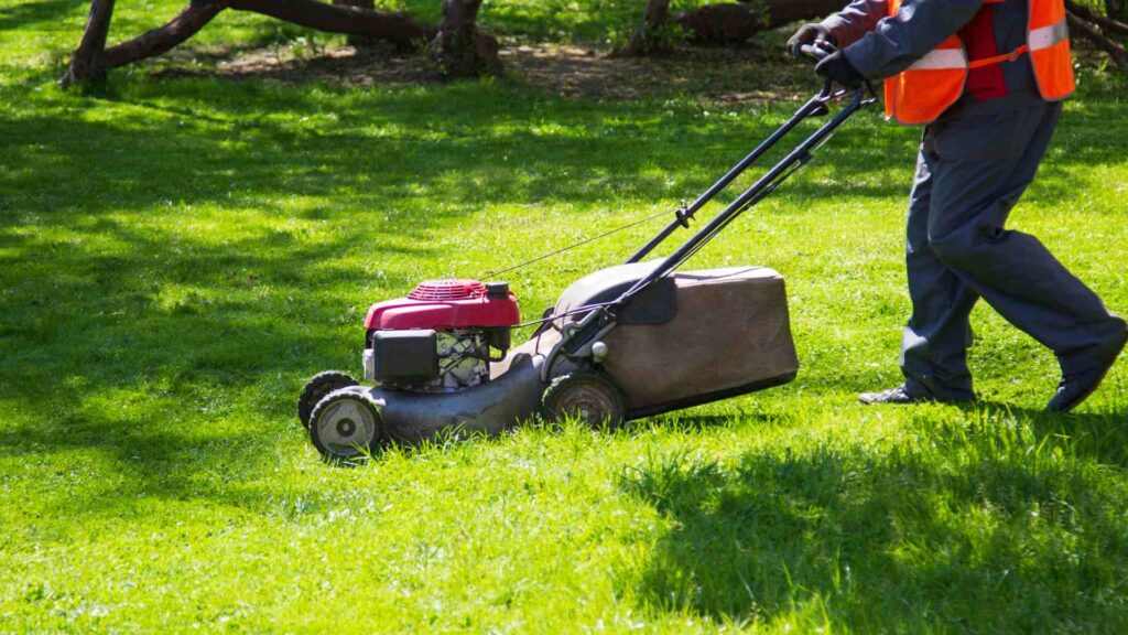 Lawn Care Img