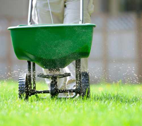 Lawn Fertilization