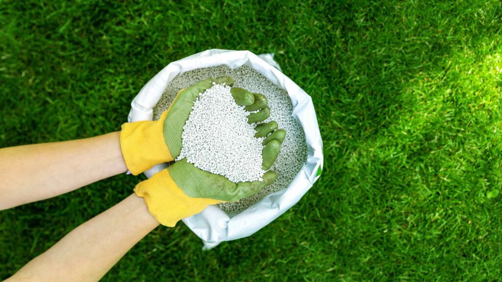 Lawn Fertilization